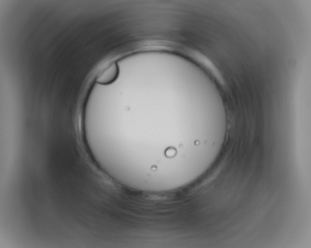 X0000114111419200910051229