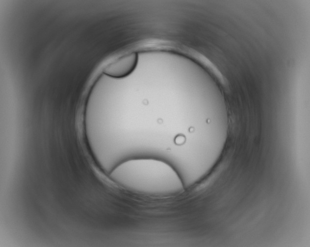 X0000114111421200910051229