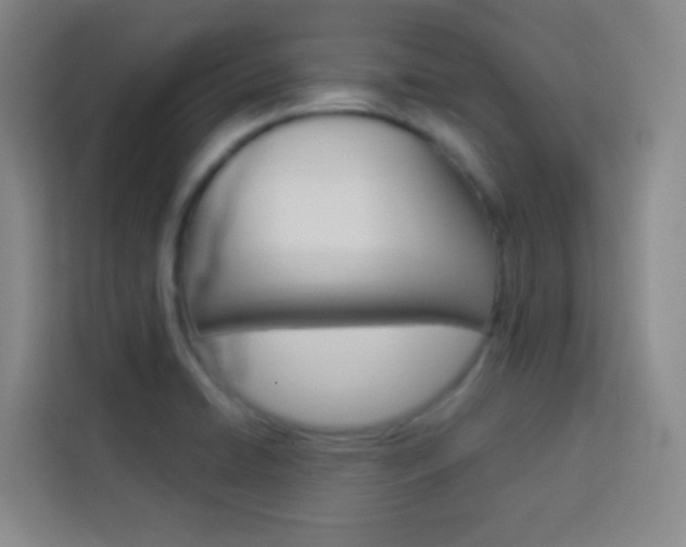 X0000114111422200910051229