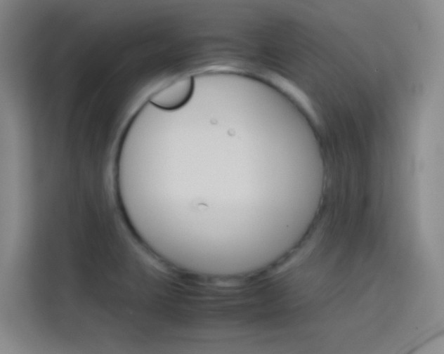 X0000114111423200910051229