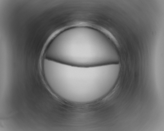 X0000114111424200910051229