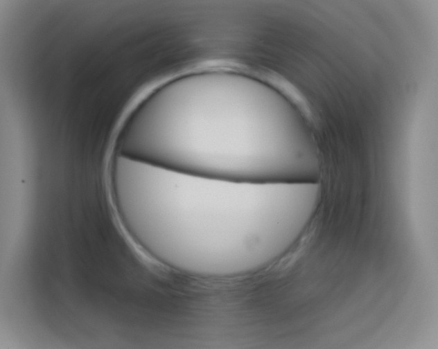X0000114111430200910051230