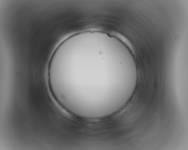 X0000114111431200910051230
