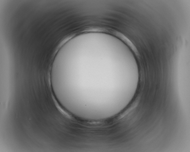 X0000114111433200910051230