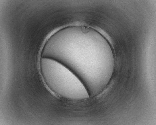 X0000114111437200910051230