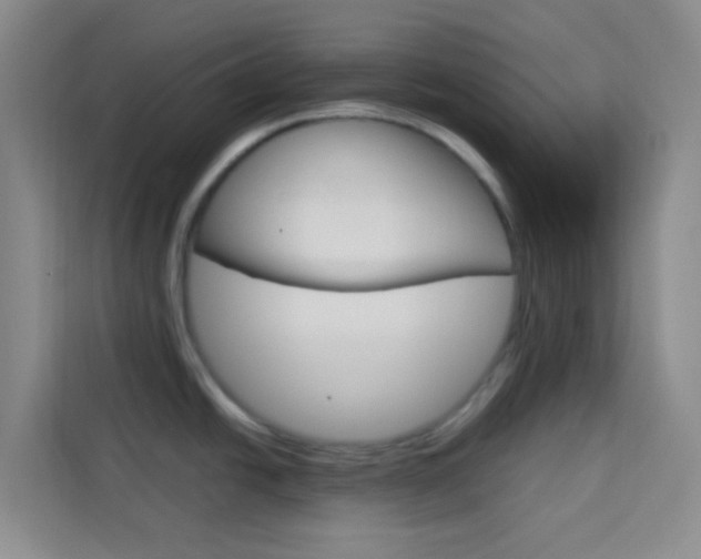 X0000114111438200910051230