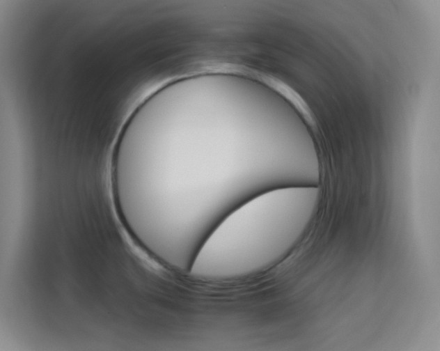 X0000114111439200910051230