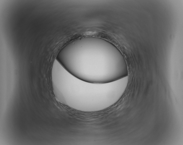 X0000114111441200910051229