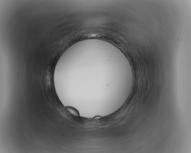 X0000114111442200910051229