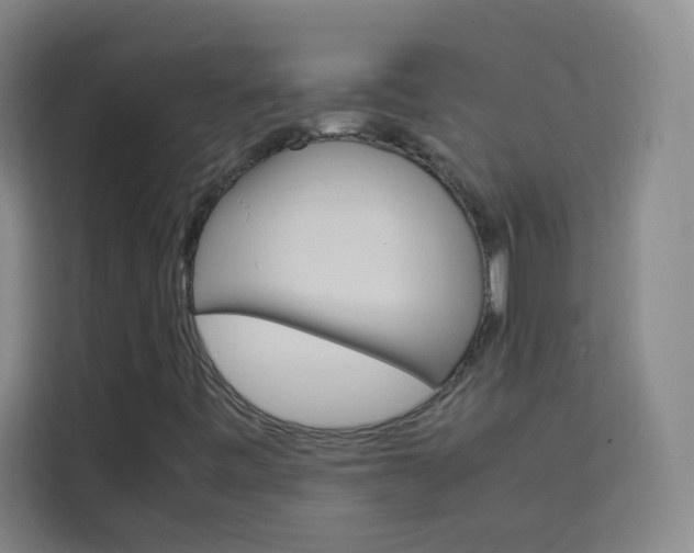 X0000114111443200910051229