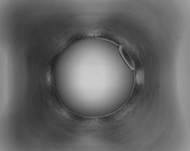 X0000114111444200910051229