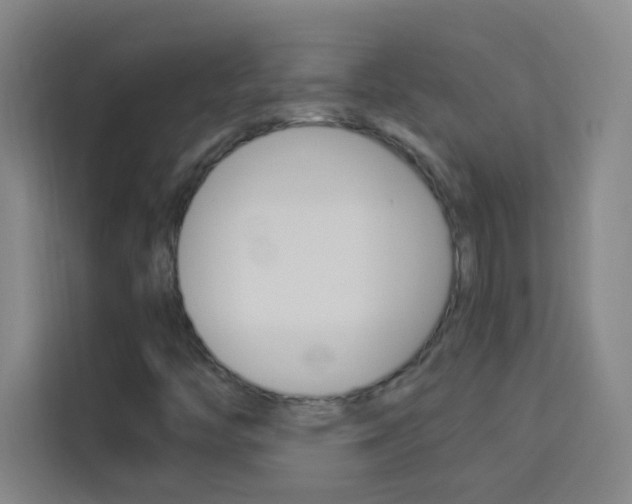 X0000114111446200910051229