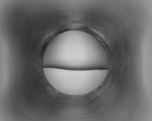 X0000114111447200910051229
