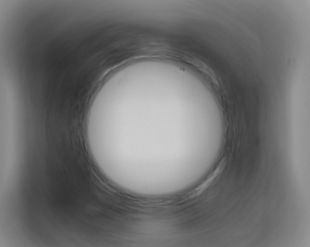 X0000114111449200910051229