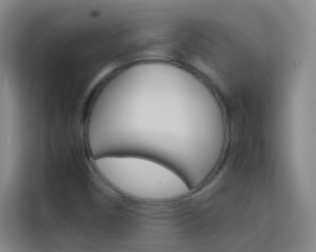 X0000114111450200910051229