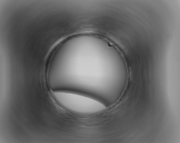X0000114111452200910051229