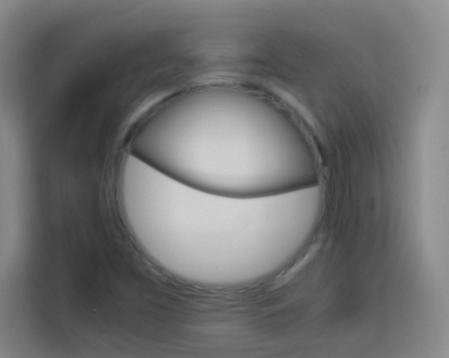 X0000114111453200910051229