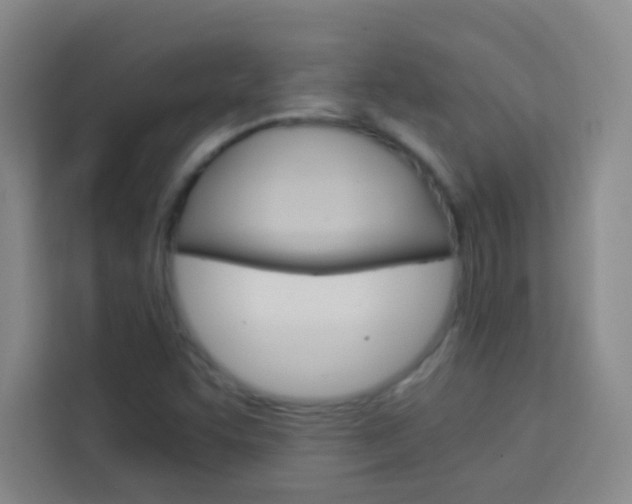 X0000114111455200910051229