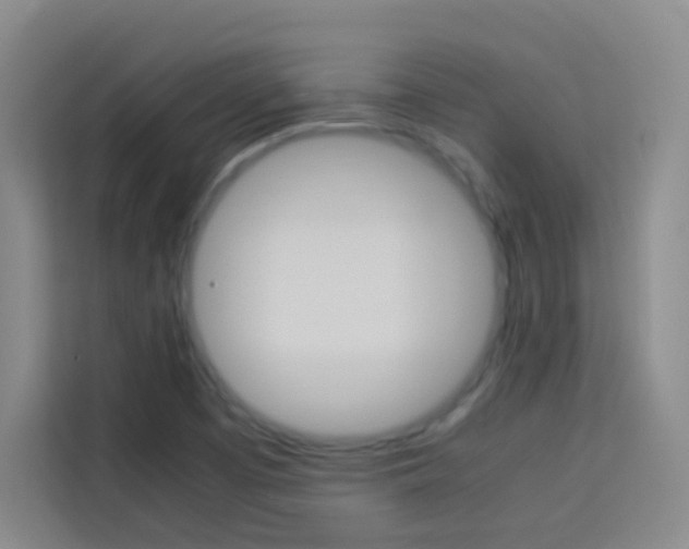 X0000114111457200910051229