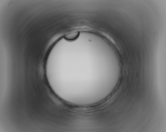 X0000114111458200910051229