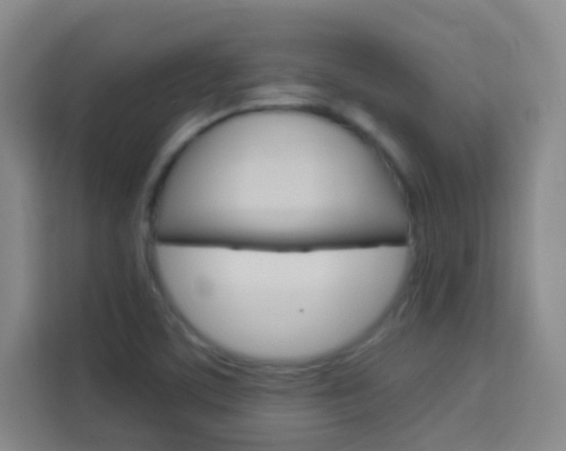 X0000114111459200910051229