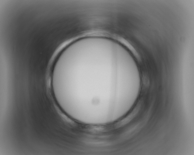 X0000114111462200910051229