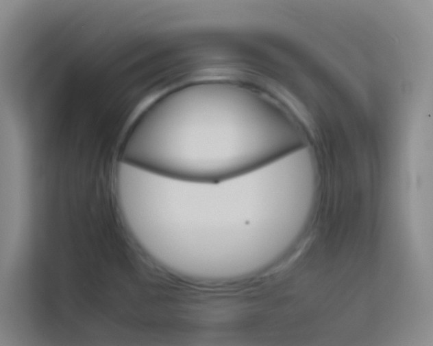 X0000114111465200910051229