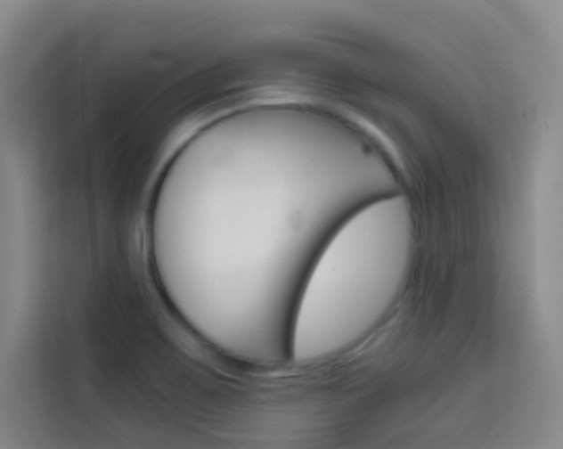 X0000114111467200910051229