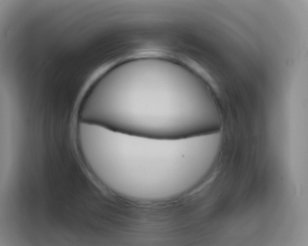 X0000114111469200910051229