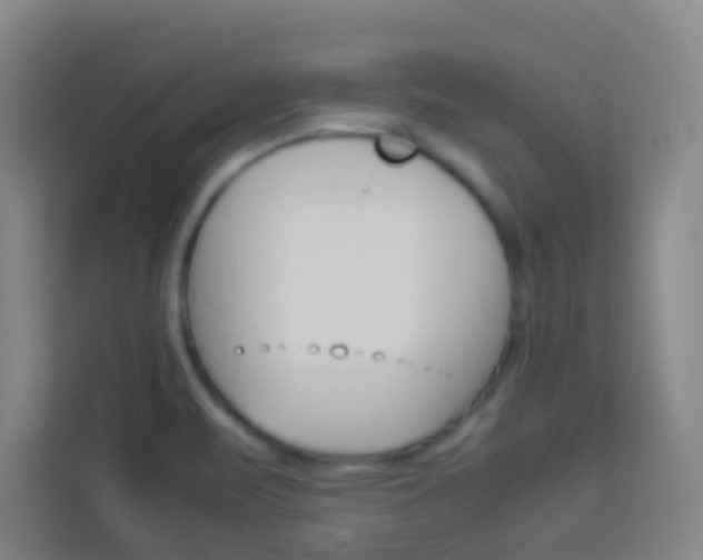 X0000114111471200910051229