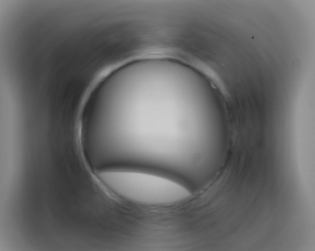 X0000114111472200910051229