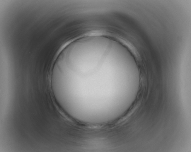 X0000114111473200910051229