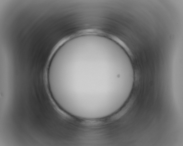 X0000114111474200910051229