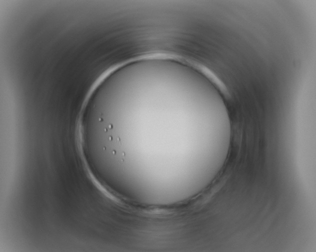 X0000114111476200910051229