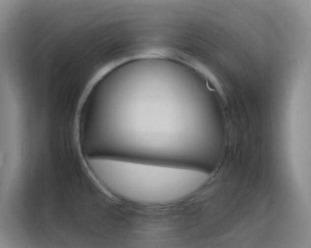 X0000114111480200910051229
