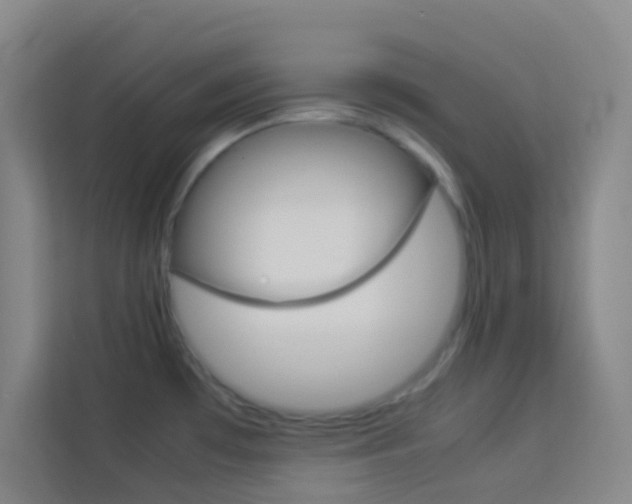 X0000114111481200910051229