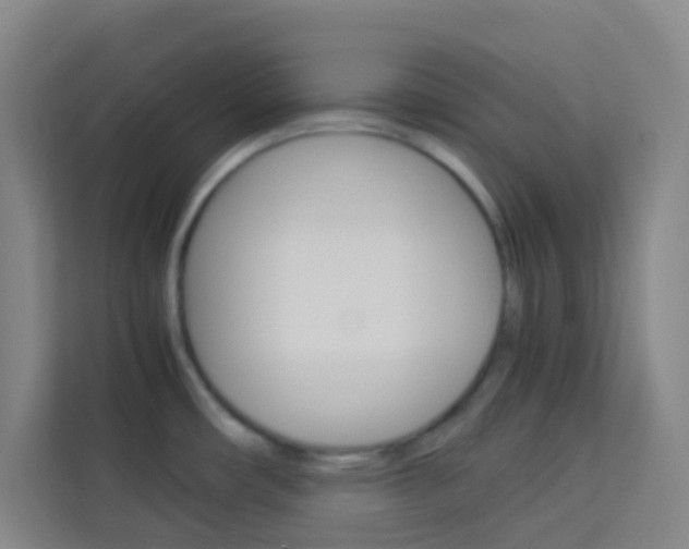 X0000114111482200910051229