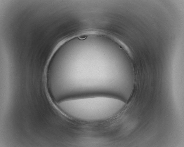 X0000114111483200910051229