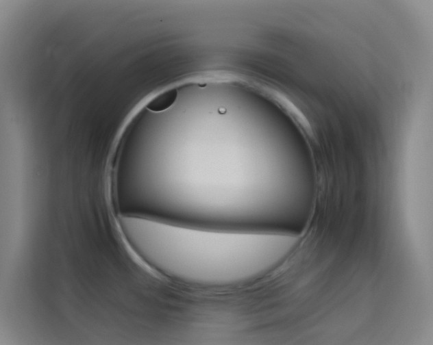 X0000114111484200910051229