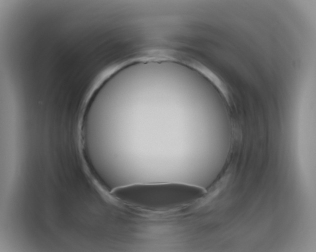 X0000114111485200910051229