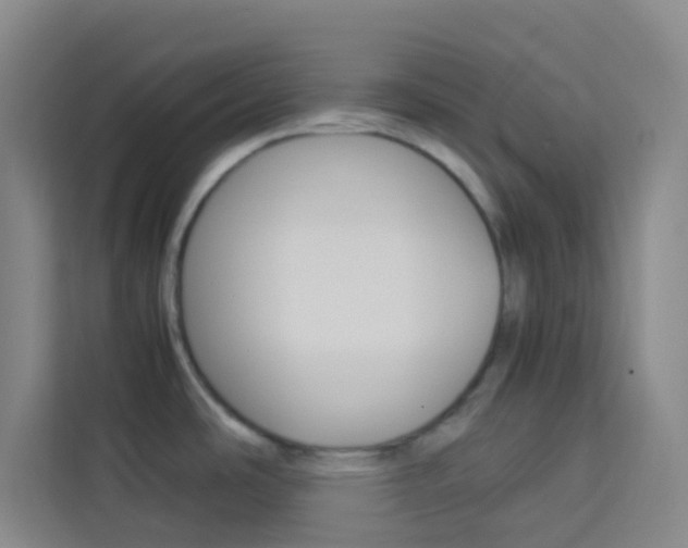 X0000114111486200910051229