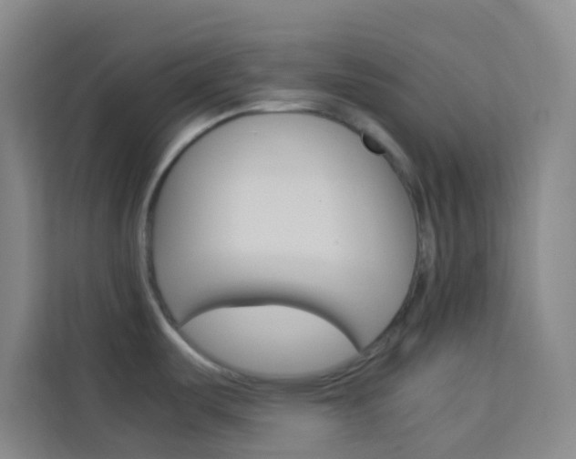 X0000114111487200910051228