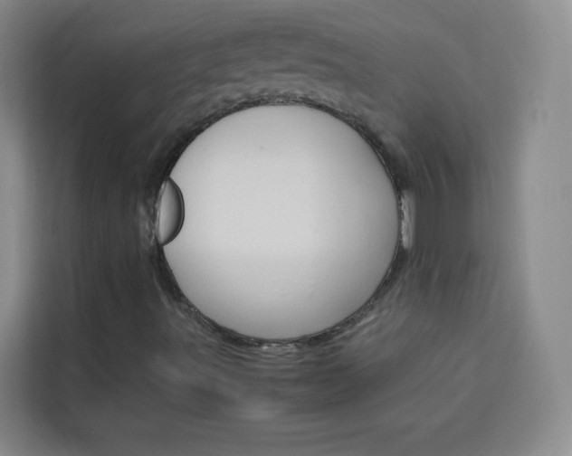 X0000114111491200910051228