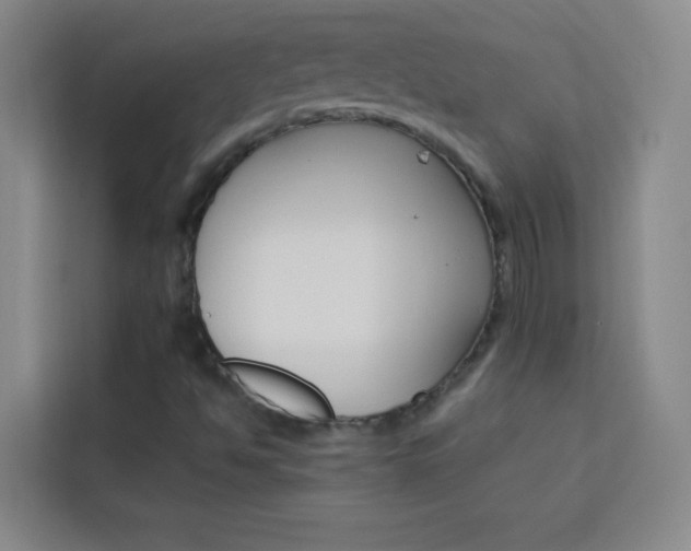 X0000114111494200910051228