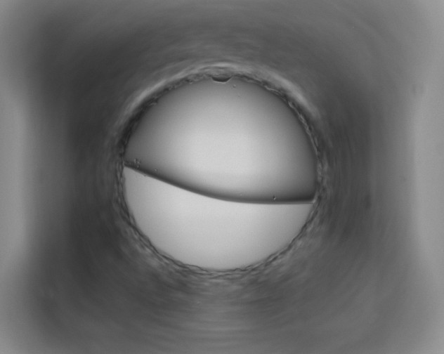 X0000114111496200910051228