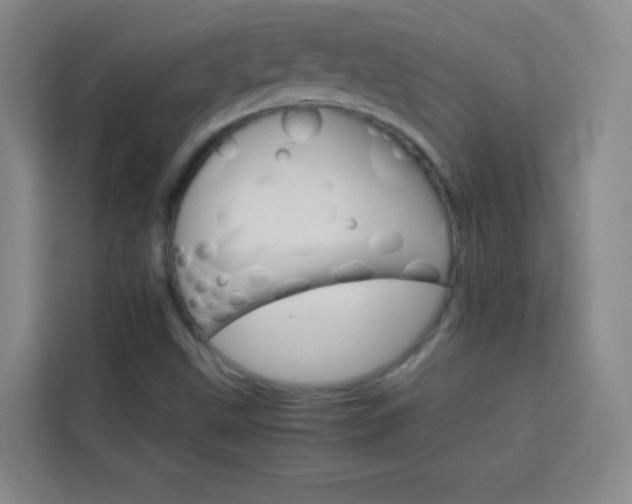 X0000114111499200910051228