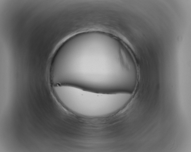 X0000114111500200910051228