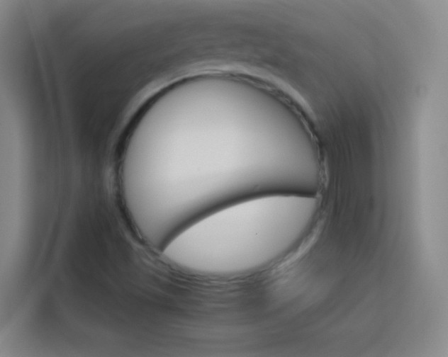 X0000114111501200910051228