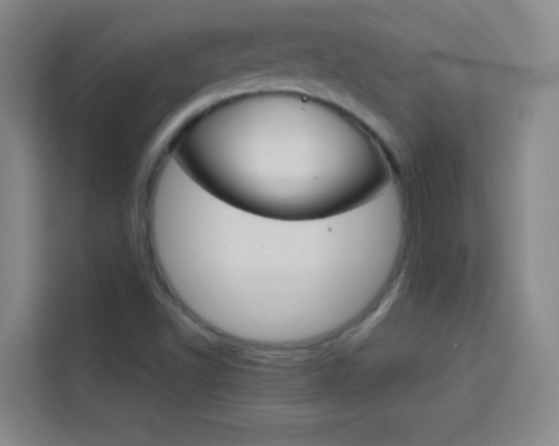X0000114111502200910051228