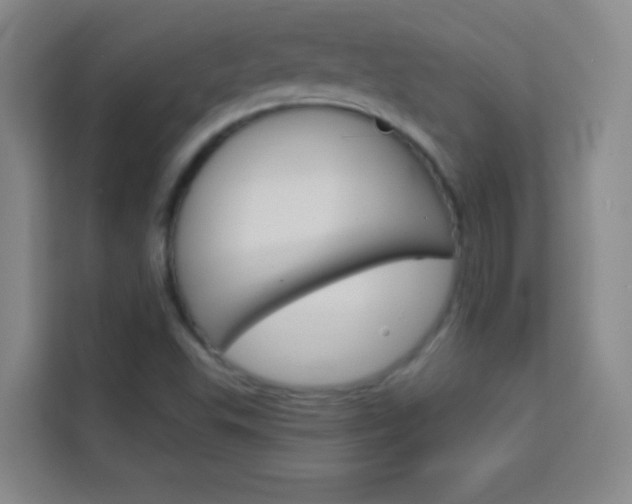 X0000114111503200910051228